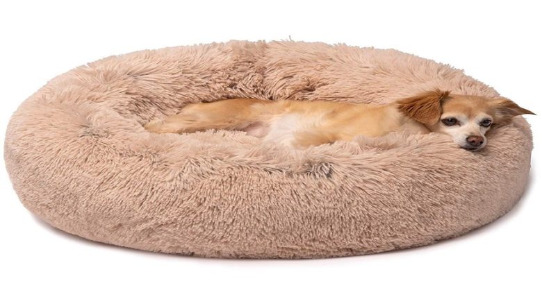 15 pet merchandise you may make at house