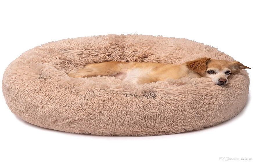 15 pet products you can make at home