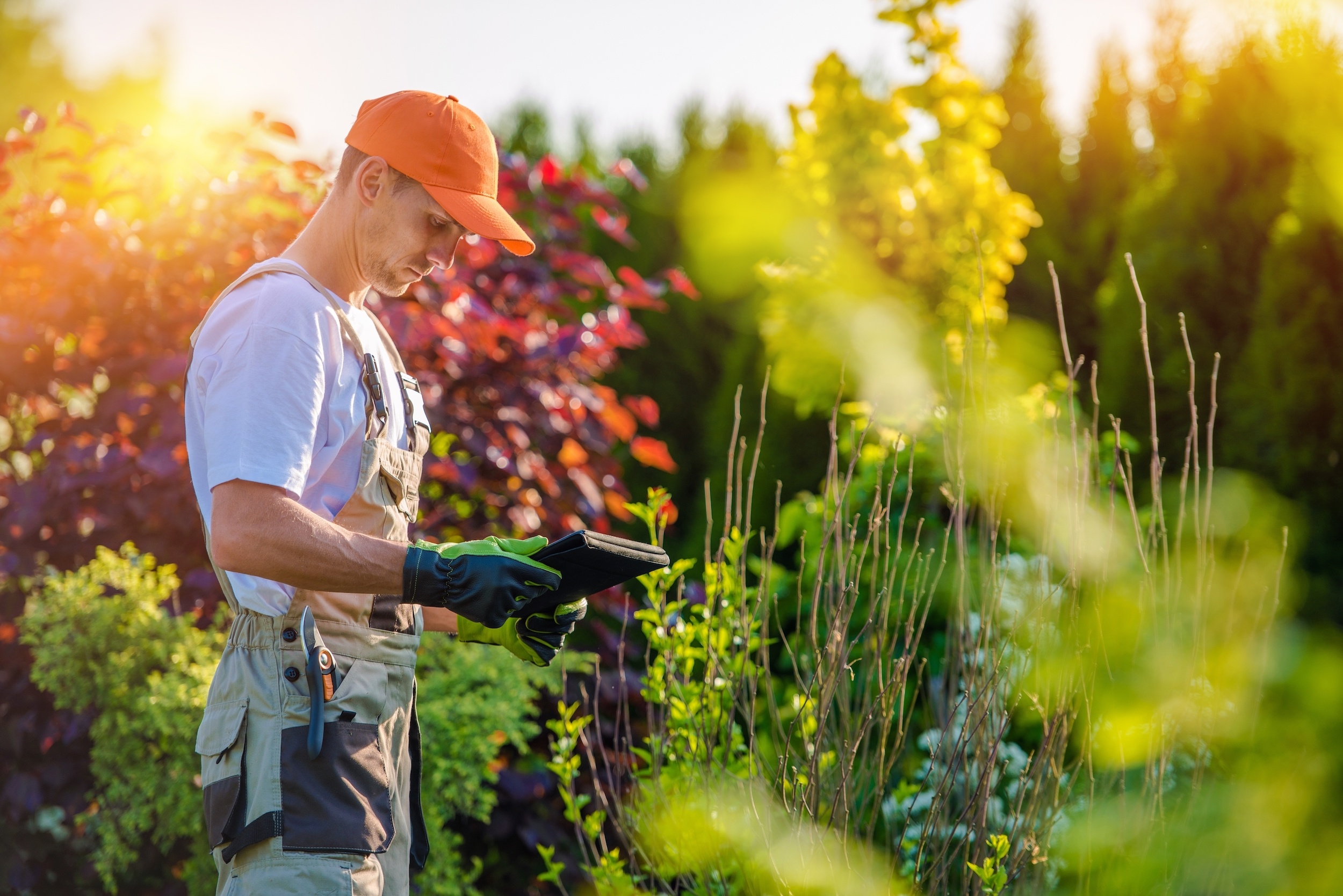 Benefits of Hiring a Landscaper