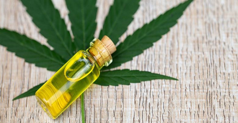 Risk of CBD Oil and Overdose – Right here Is the Fact for You